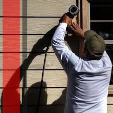 Best Residential Vinyl Siding Installation  in Newark, IL